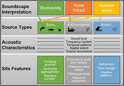 Advancing the Interpretation of Shallow Water Marine Soundscapes